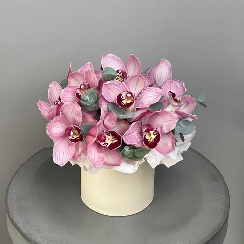review-photo-before