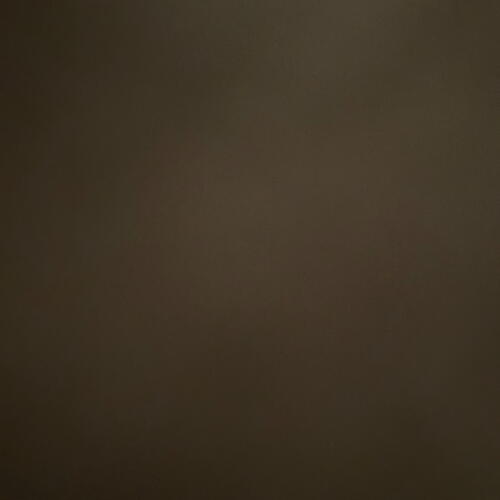 review-photo-before
