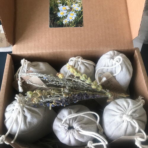 review-photo-before