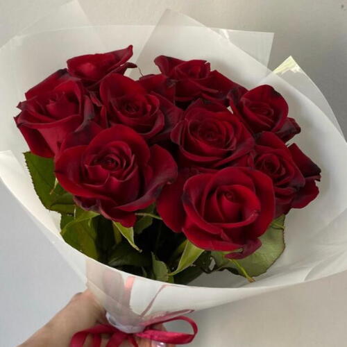 review-photo-before