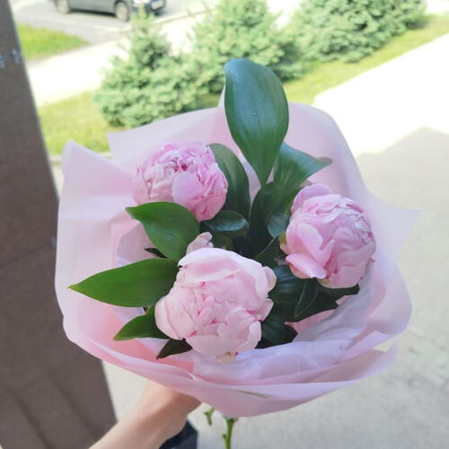 review-photo-before