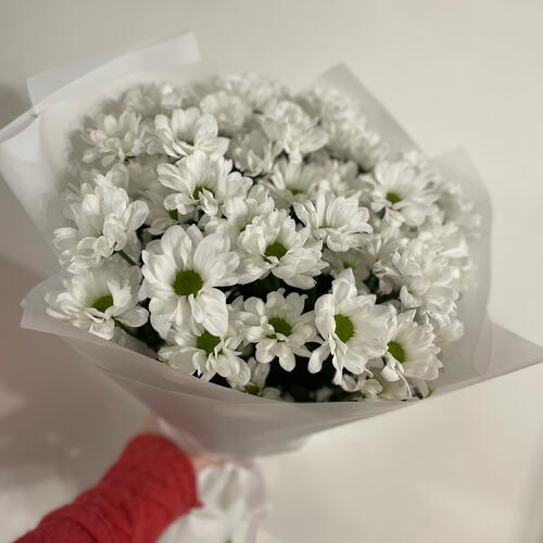 review-photo-before