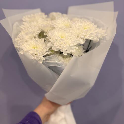 review-photo-before