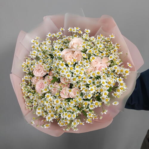 review-photo-before
