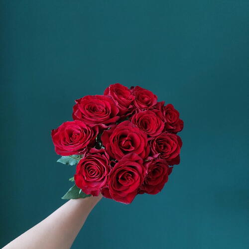 review-photo-before