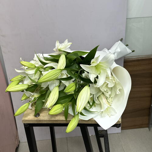 review-photo-before