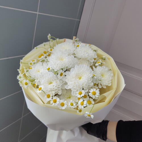 review-photo-before