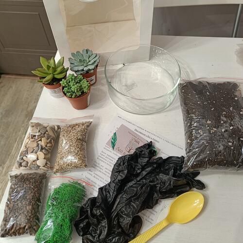 review-photo-before
