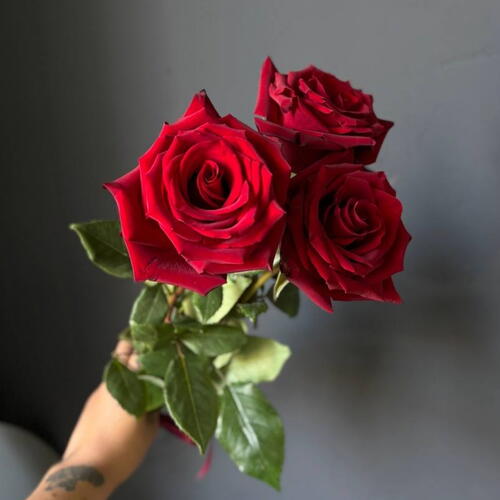 review-photo-before