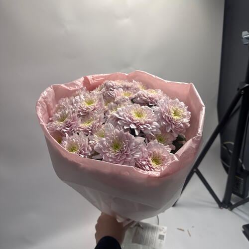 review-photo-before
