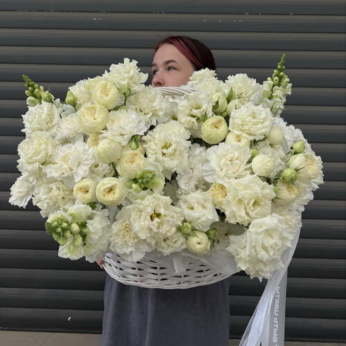 review-photo-before
