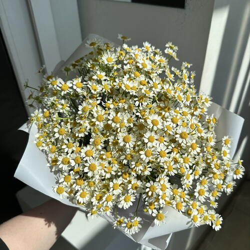 review-photo-before