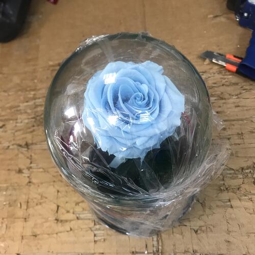 review-photo-before
