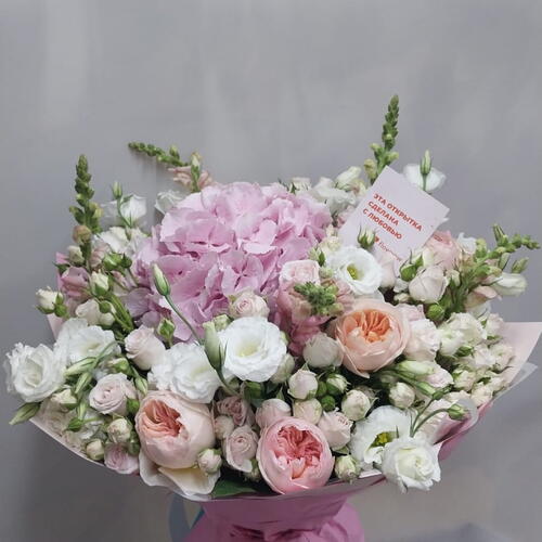 review-photo-before