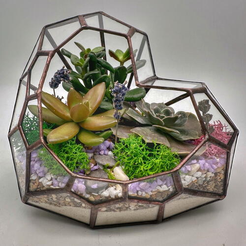 review-photo-before