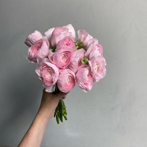 review-photo-before