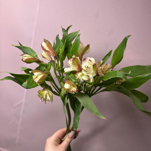 review-photo-before