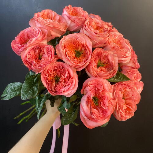 review-photo-before