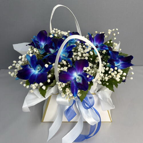 review-photo-before
