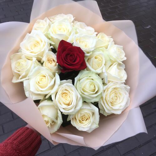 review-photo-before