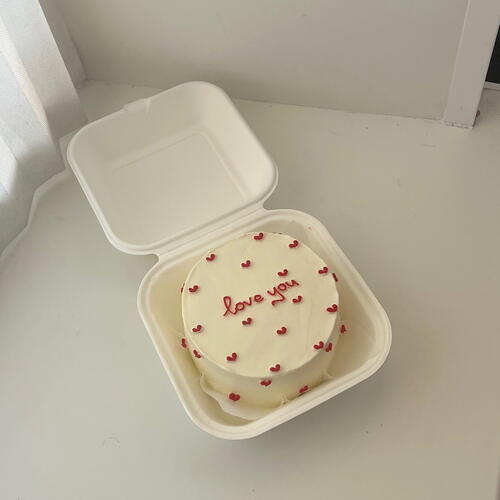 review-photo-before