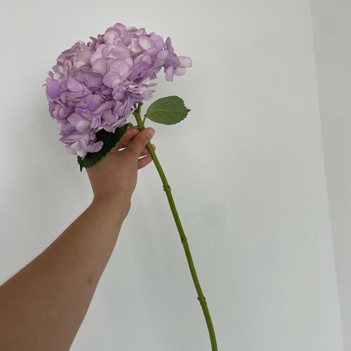 review-photo-before