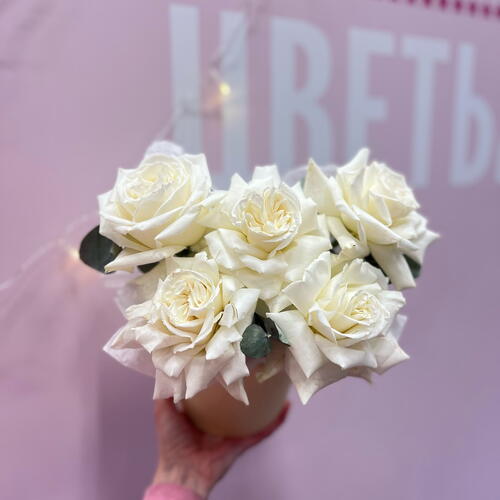 review-photo-before