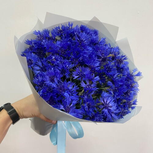 review-photo-before