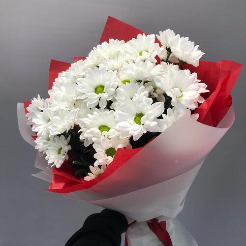 review-photo-before