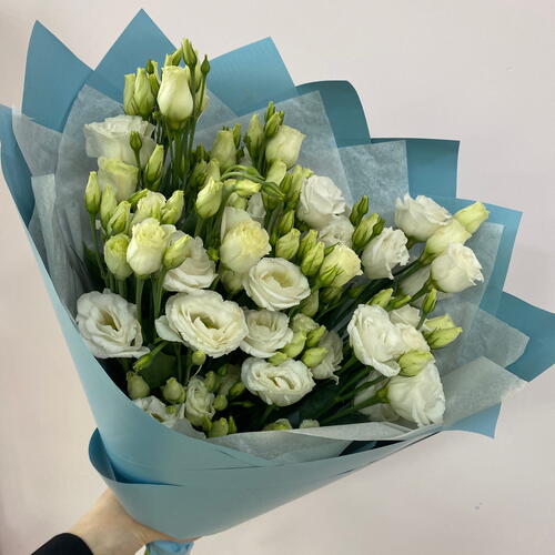 review-photo-before