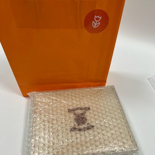 review-photo-before
