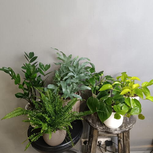 review-photo-before
