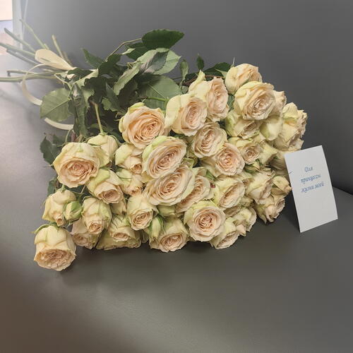 review-photo-before