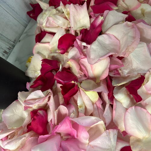 review-photo-before