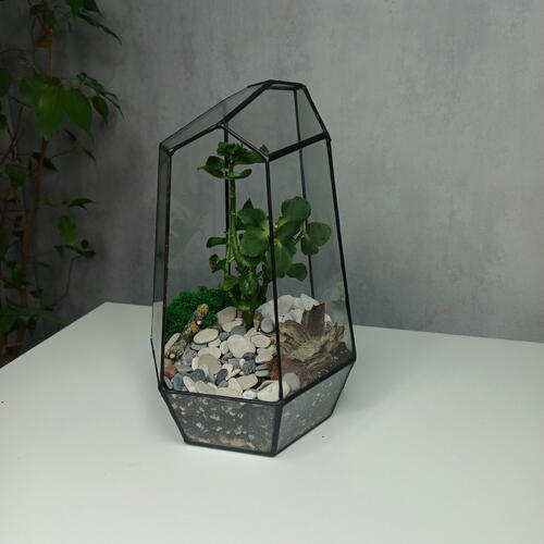 review-photo-before
