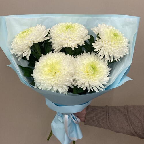 review-photo-before