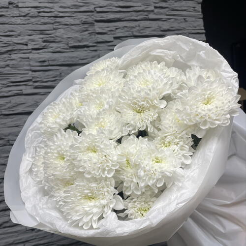 review-photo-before