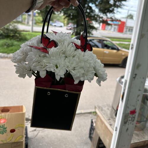 review-photo-before