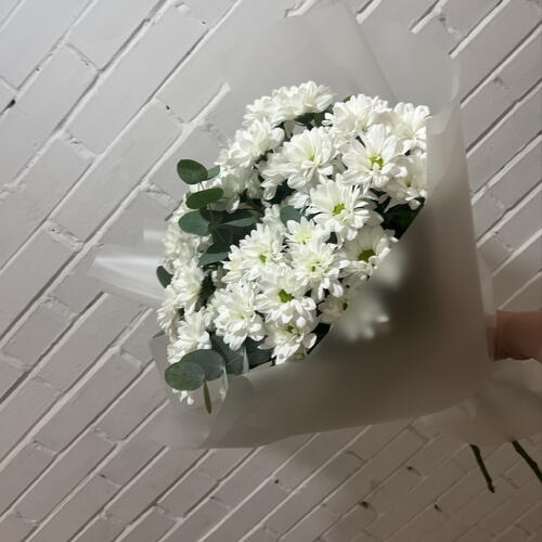review-photo-before