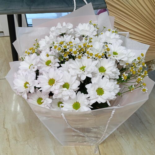 review-photo-before