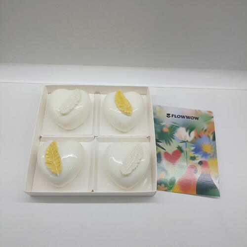 review-photo-before