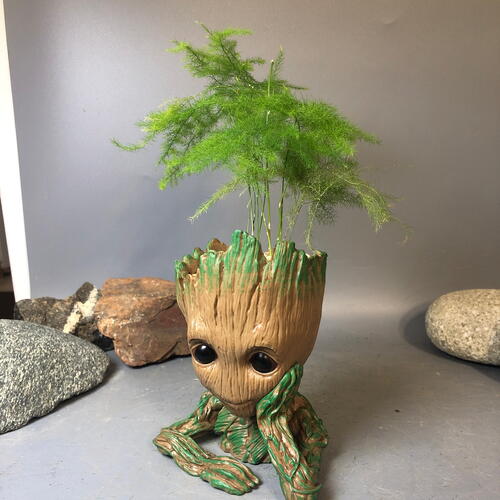 review-photo-before