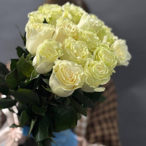review-photo-before
