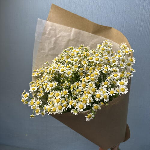 review-photo-before