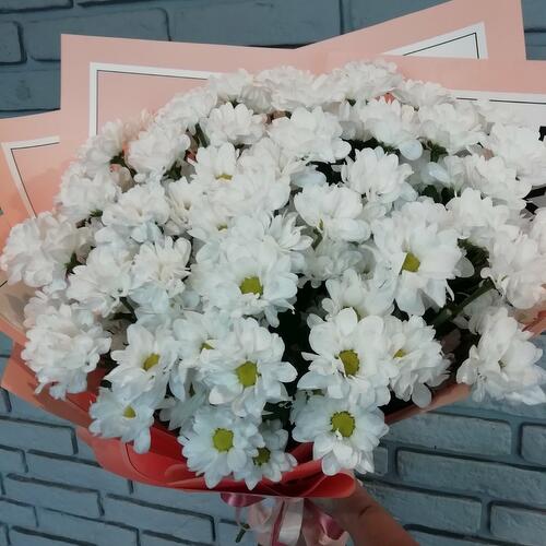 review-photo-before
