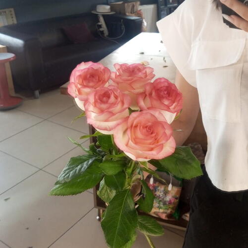 review-photo-before