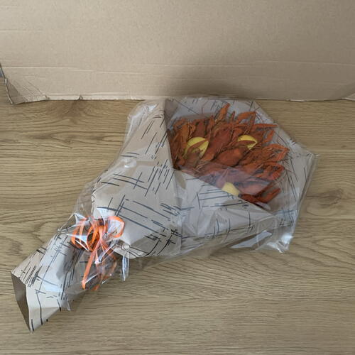 review-photo-before