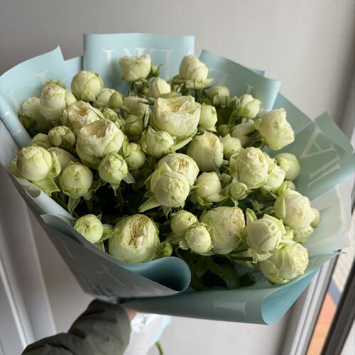 review-photo-before