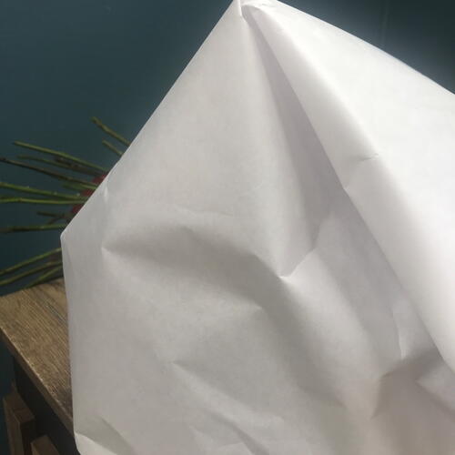 review-photo-before