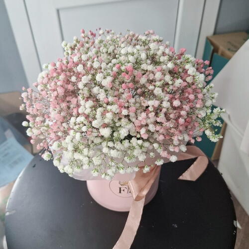 review-photo-before